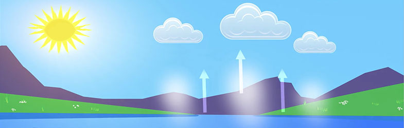 Кружно движење на водата