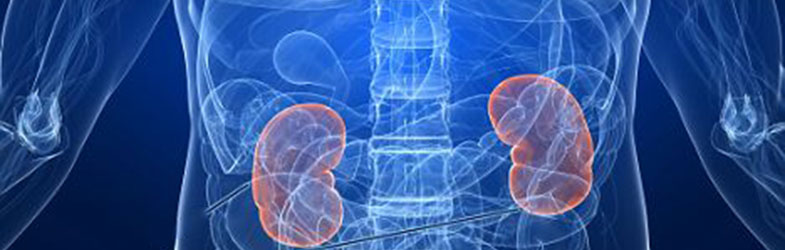 Водени битија